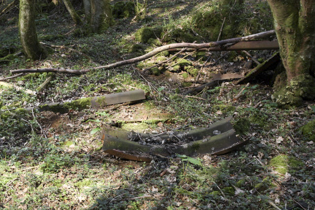 Ligne Maginot - BOIS DE CRUSNES - (Abri) - 