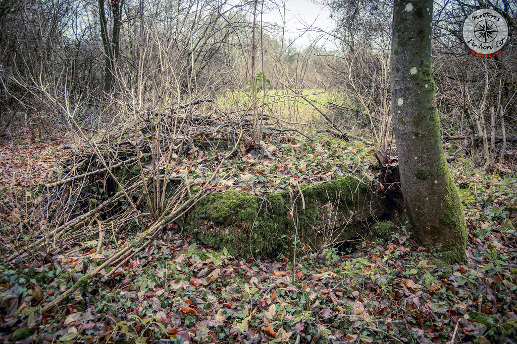 Ligne Maginot - BOIS DE CRUSNES 4 - (Blockhaus pour canon) - 