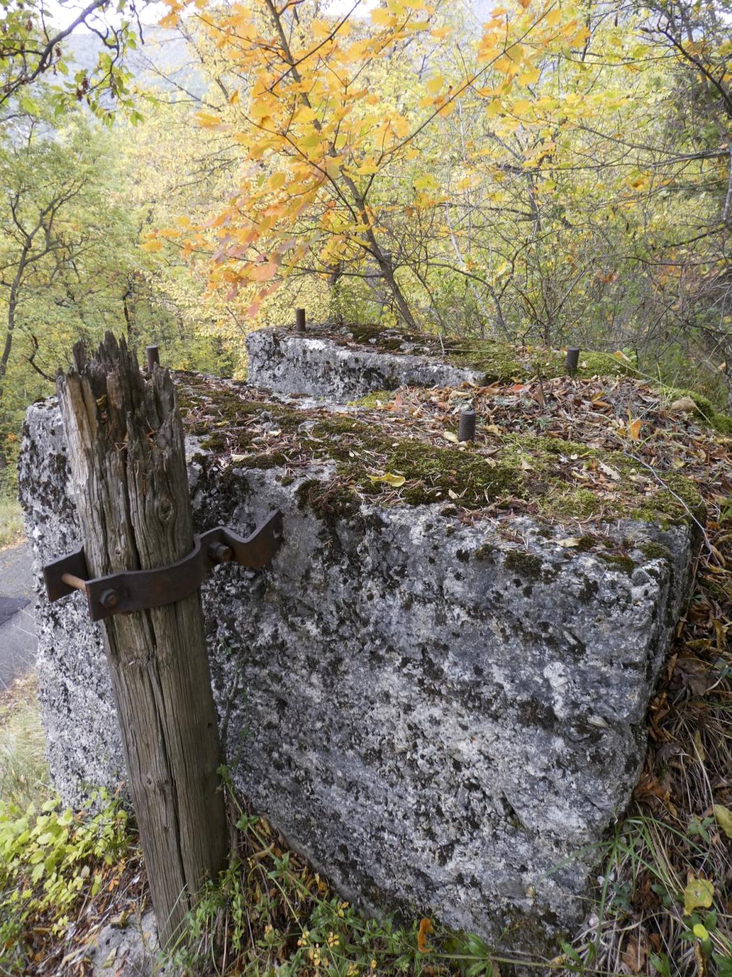 Ligne Maginot - AGAISEN (AN) - E03 - (Ouvrage d'artillerie) - Support d'un pylône de chantier - ELLENA Daniel - CUNY Philippe