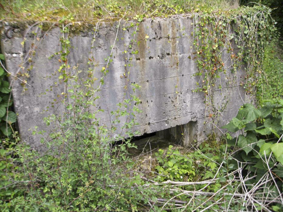 Ligne Maginot - DB133 - BEAUSEJOUR 2 - (Blockhaus pour arme infanterie) - Il s'agit du créneau qui est orienté vers le virage de la route venant de Crusnes village - Pruzsina Jérome