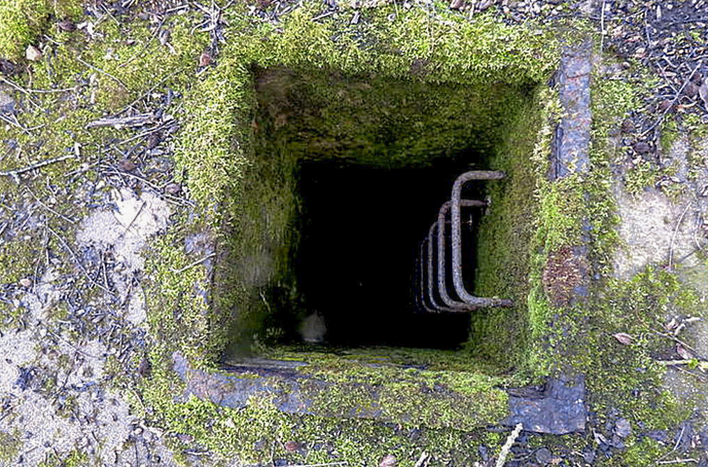 Ligne Maginot - DT12 - (Cuve pour arme d'infanterie) -  - Sylvie Laure LAMBERT