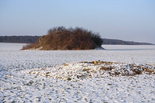 Ligne Maginot - Vue générale - Vue générale
Au second plan, le blockhaus Db11 - www.arnaultjl-photo.com