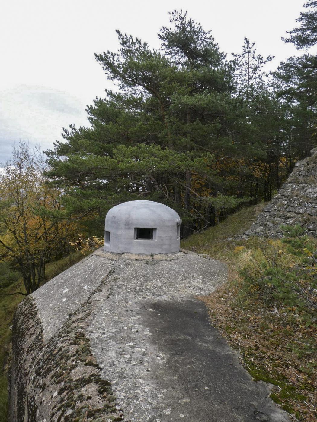 Ligne Maginot - MONTE GROSSO (MG) - E02 - (Ouvrage d'artillerie) - Bloc 3
Cloche GFM avec créneaux décalés - ELLENA Daniel - CUNY Philippe