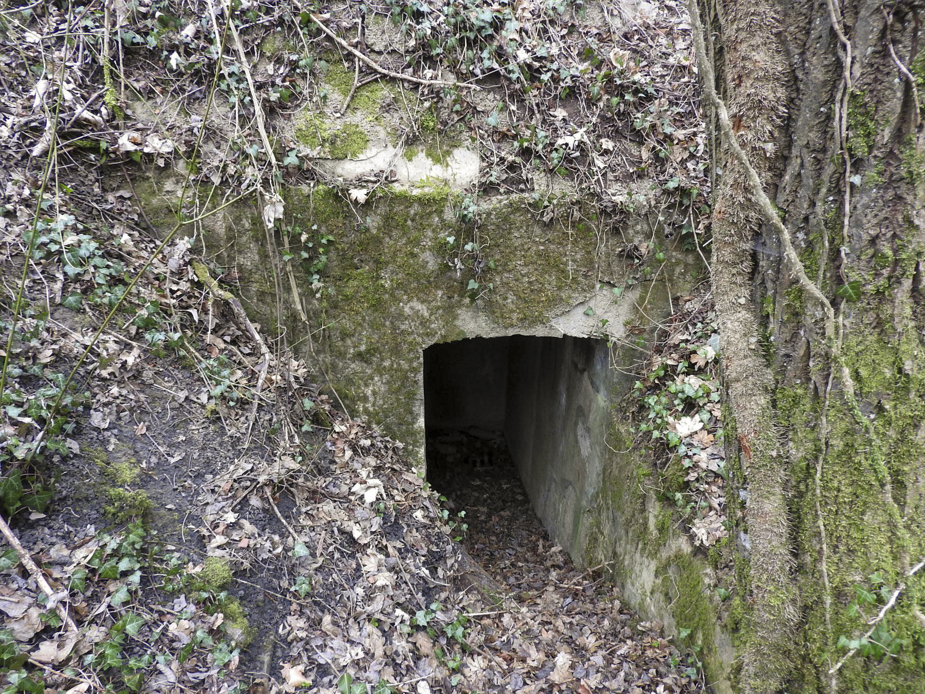 Ligne Maginot - MAISON ROUGE (V° 226° RA) - (PC) - Une des entrées du PC bétonné. - STENGER Mathieu