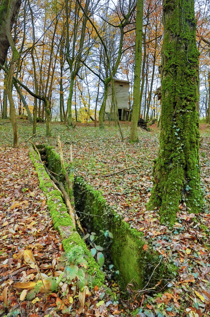 Ligne Maginot - OBERMODERN - DéPOT ARRIèRE - (Dépôt de Munitions) - Dépot  - Lenhard Christian