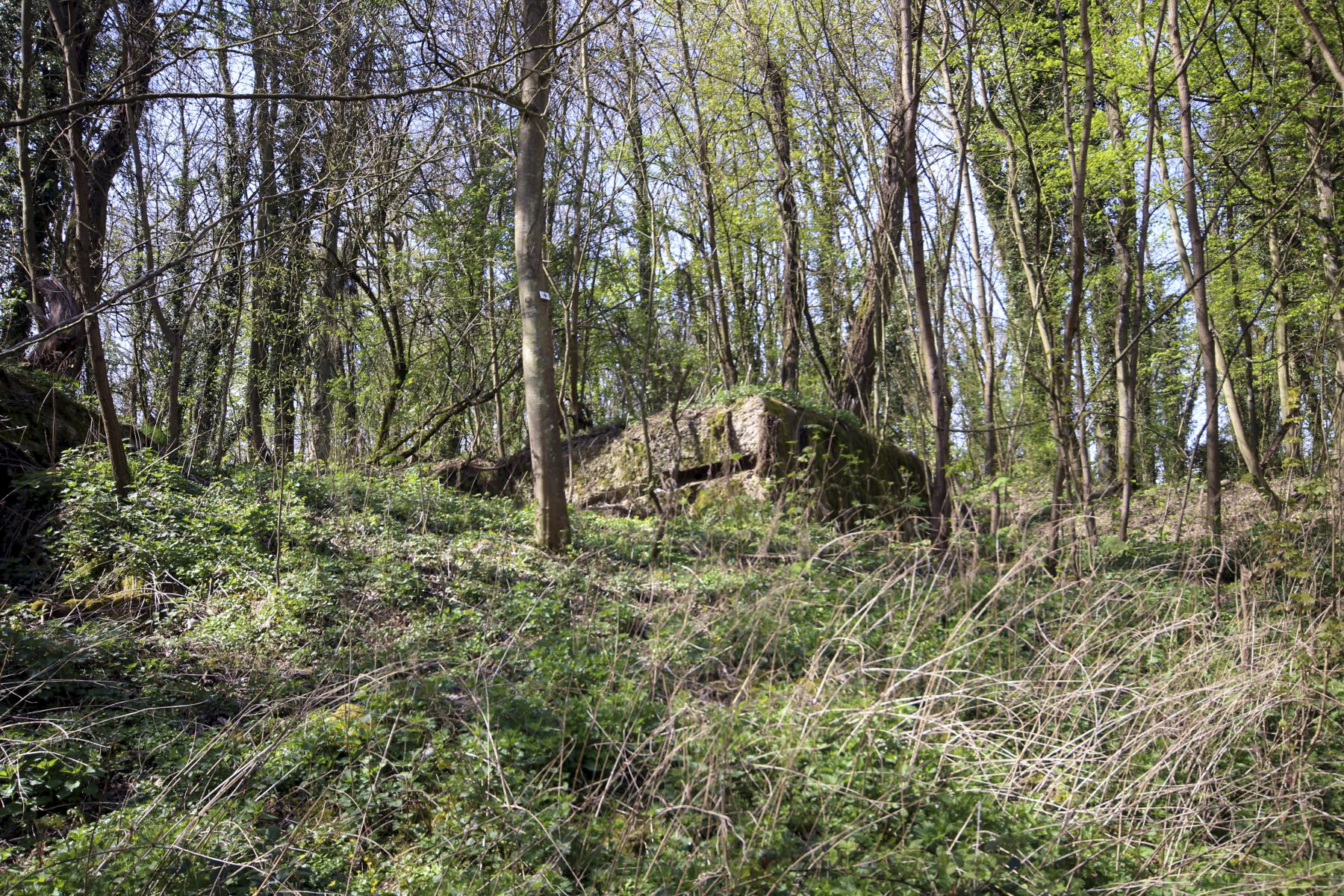 Ligne Maginot - ILLANGE (FESTE DE) - (Ouvrage d'artillerie) - 