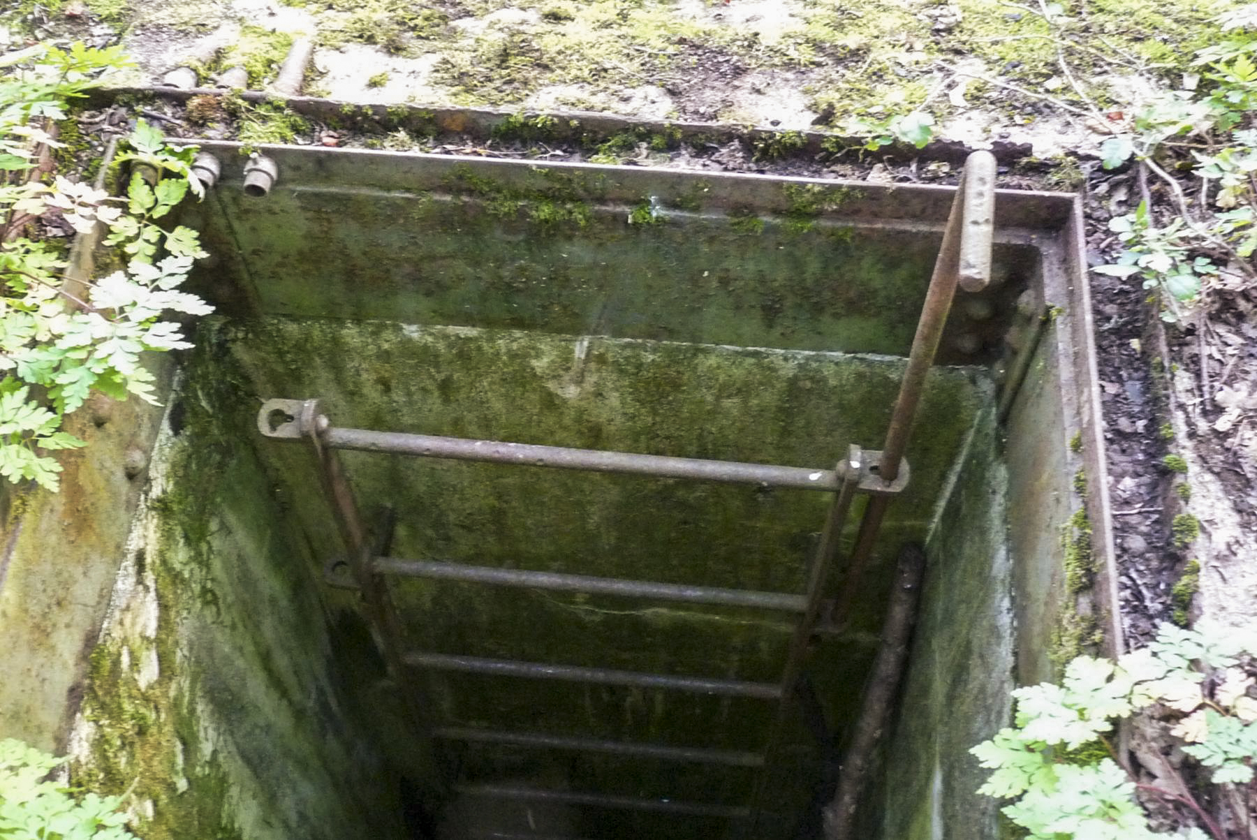 Ligne Maginot - 10T - (Chambre de coupure) -   - Sylvie Laure LAMBERT