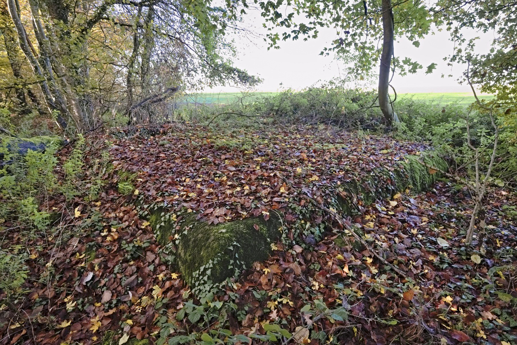 Ligne Maginot - 50TBIS - (Chambre de coupure) -  - thierry caland