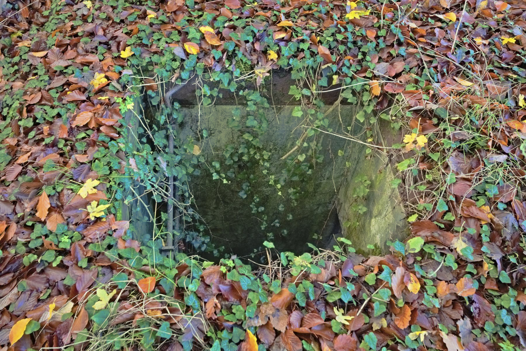 Ligne Maginot - 50TBIS - (Chambre de coupure) -  - thierry caland