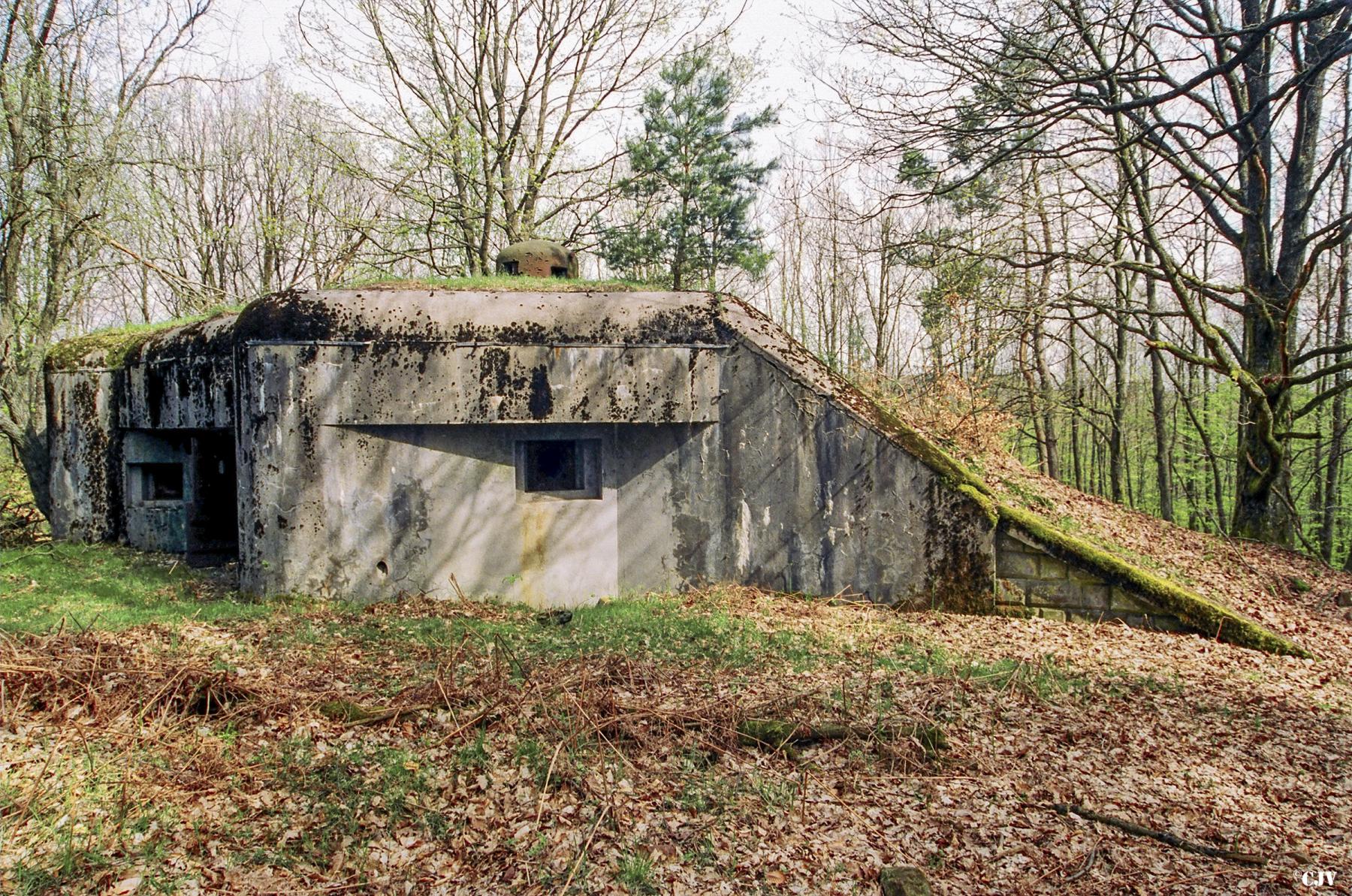 Ligne Maginot - BIESENBERG 4 - (Blockhaus pour arme infanterie) -  - Lia VERMEULEN