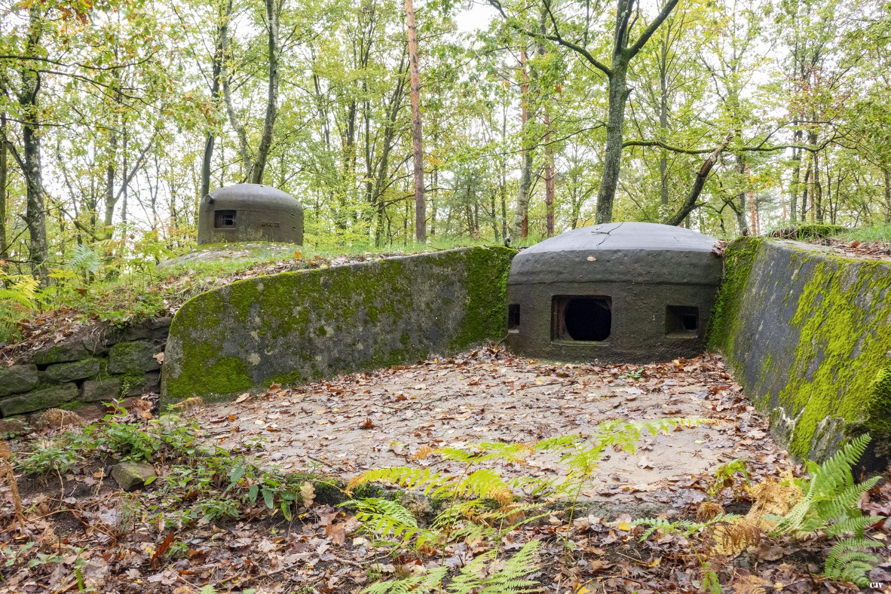 Ligne Maginot - BIESENBERG SOMMITALE - (Casemate d'infanterie - Simple) - Cloche pour jumelage de mitrailleuses Reibel MAC 31
