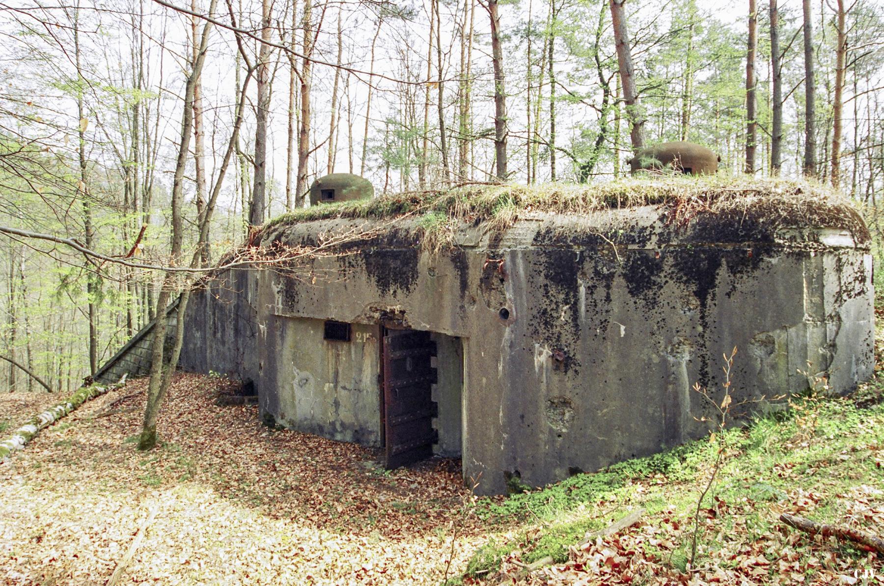 Ligne Maginot - BIESENBERG 6 - (Blockhaus pour arme infanterie) -  - Lia VERMEULEN