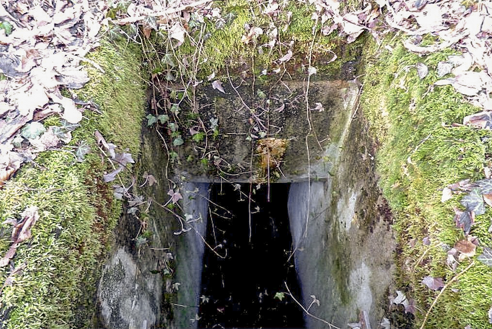 Ligne Maginot - 76T - (Chambre de coupure) -  - Sylvie Laure LAMBERT