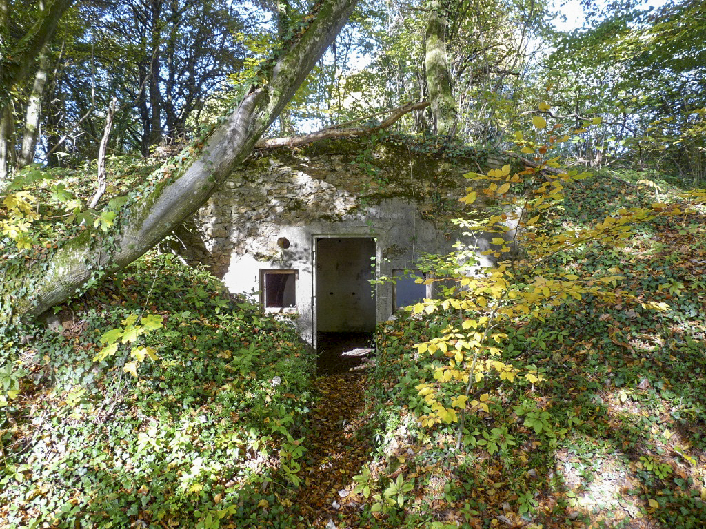 Ligne Maginot - BATZENTHALER BUSCH (2° BON - 169° RIF) - (PC de Quartier) - 