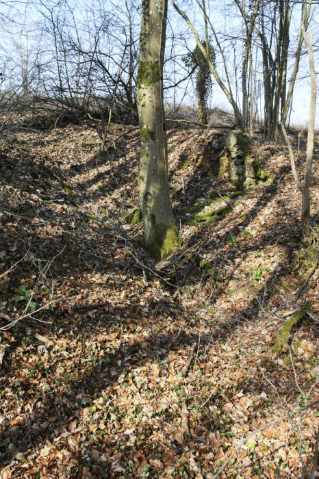 Ligne Maginot - BATZENTHALER BUSCH (2° BON - 169° RIF) - (PC de Quartier) - La quatrième alvéole n'a pas été achevée.