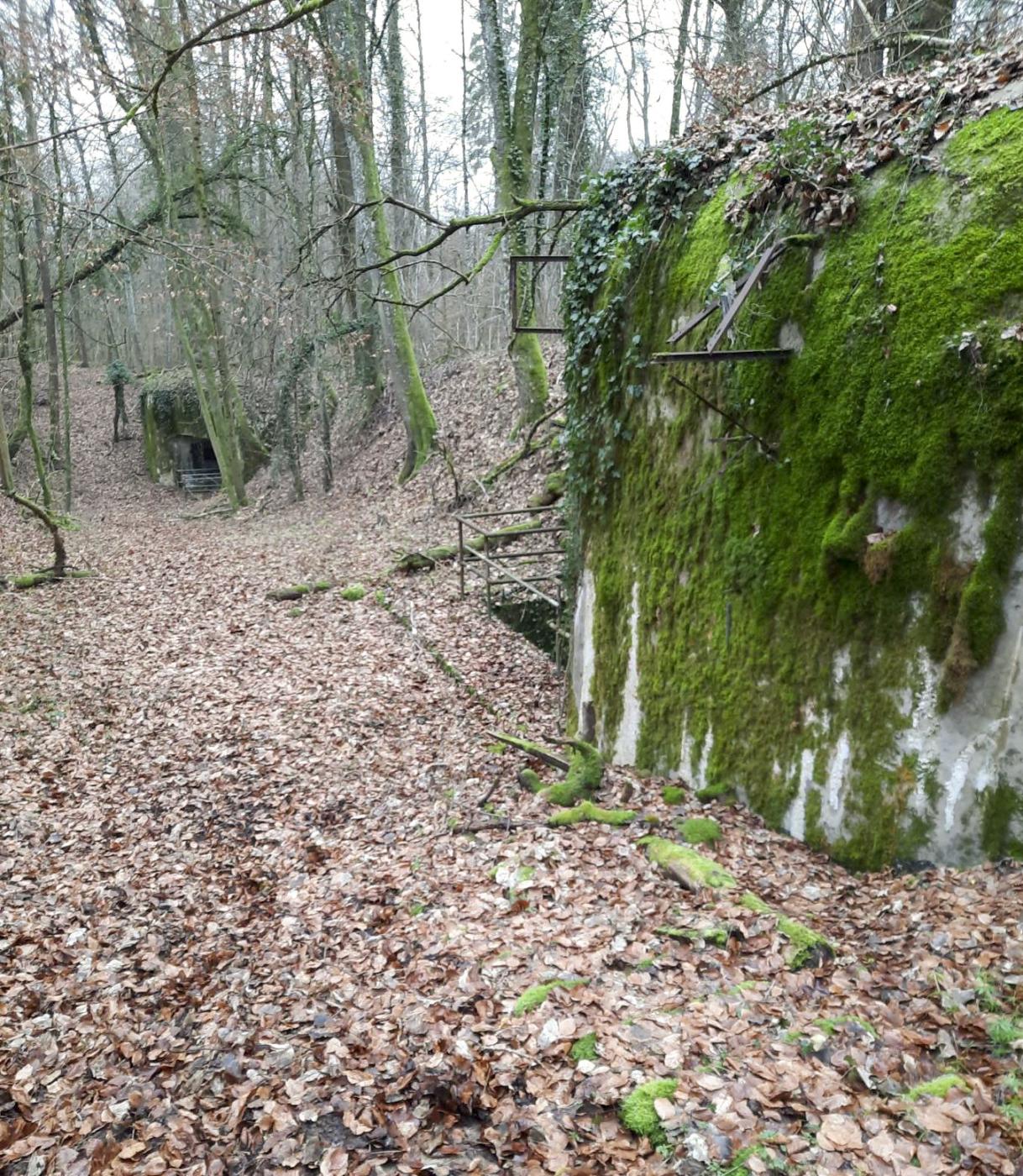 Ligne Maginot - BOIS D'ESCHERANGE - X3 (QUARTIER KANFEN - I/169°RIF) - (Abri) - L'endroit ne change pas trop malgré les années
