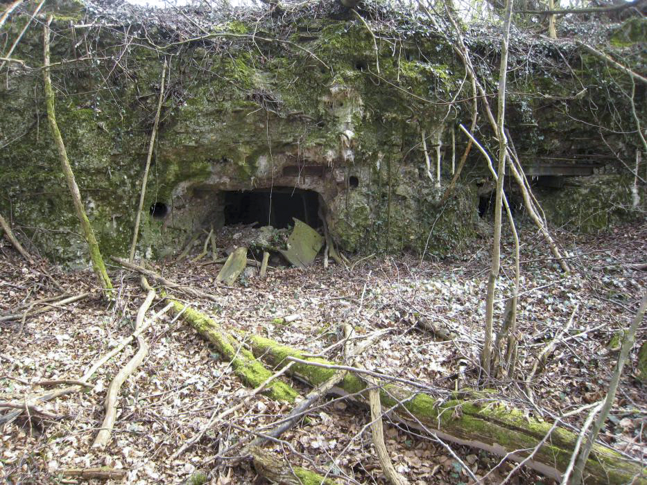 Ligne Maginot - CB13BIS - PETERSBERG - (Blockhaus pour canon) - Vue des restes des créneaux