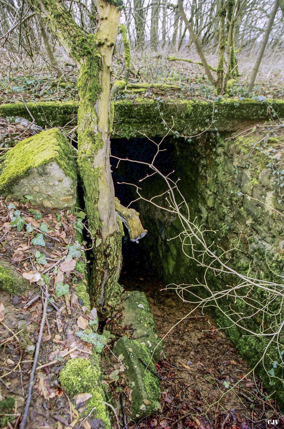 Ligne Maginot - CB13BIS - PETERSBERG - (Blockhaus pour canon) - Le couloir d'entrée