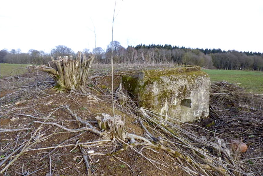 Ligne Maginot - CB14BIS - (Blockhaus pour arme infanterie) - Débroussaillé pour la marche du patrimoine.