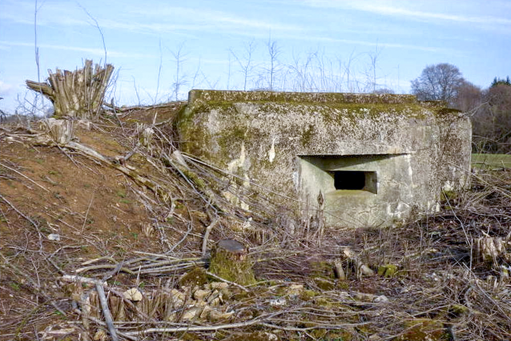 Ligne Maginot - CB14BIS - (Blockhaus pour arme infanterie) - Débroussaillé pour la marche du patrimoine.