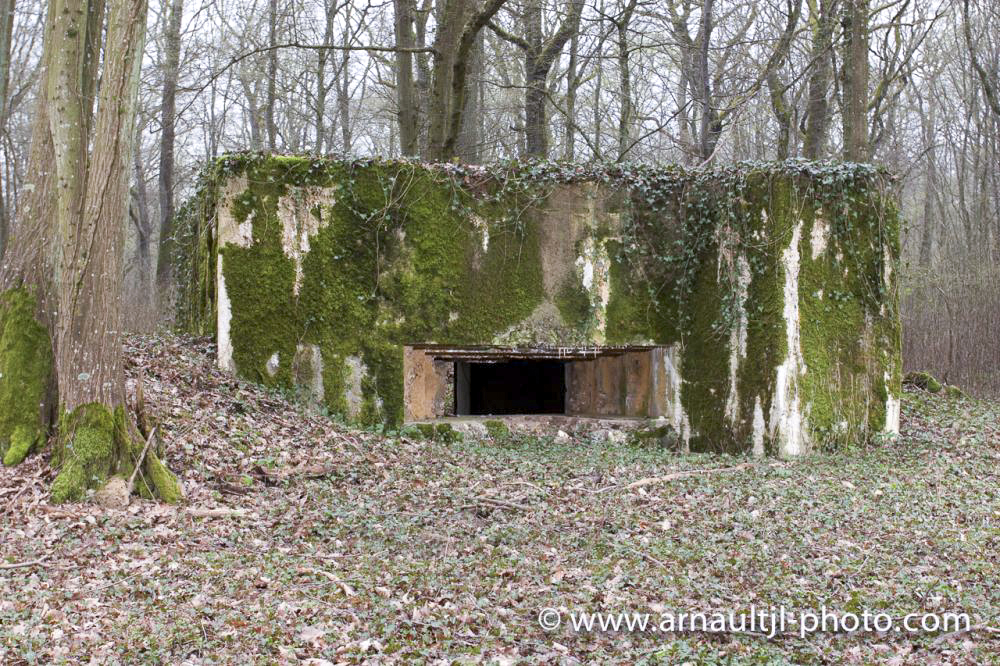 Ligne Maginot - CB302 - KANFENER BUSCH 6 - (Blockhaus pour canon) - Vue générale