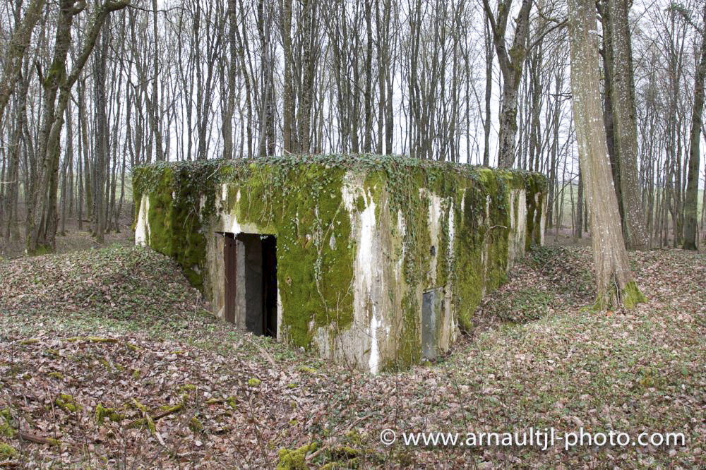 Ligne Maginot - CB302 - KANFENER BUSCH 6 - (Blockhaus pour canon) - Vue générale