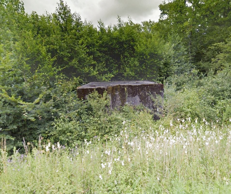 Ligne Maginot - CB304 - BUSCHWIESE 2 - (Blockhaus pour arme infanterie) - 