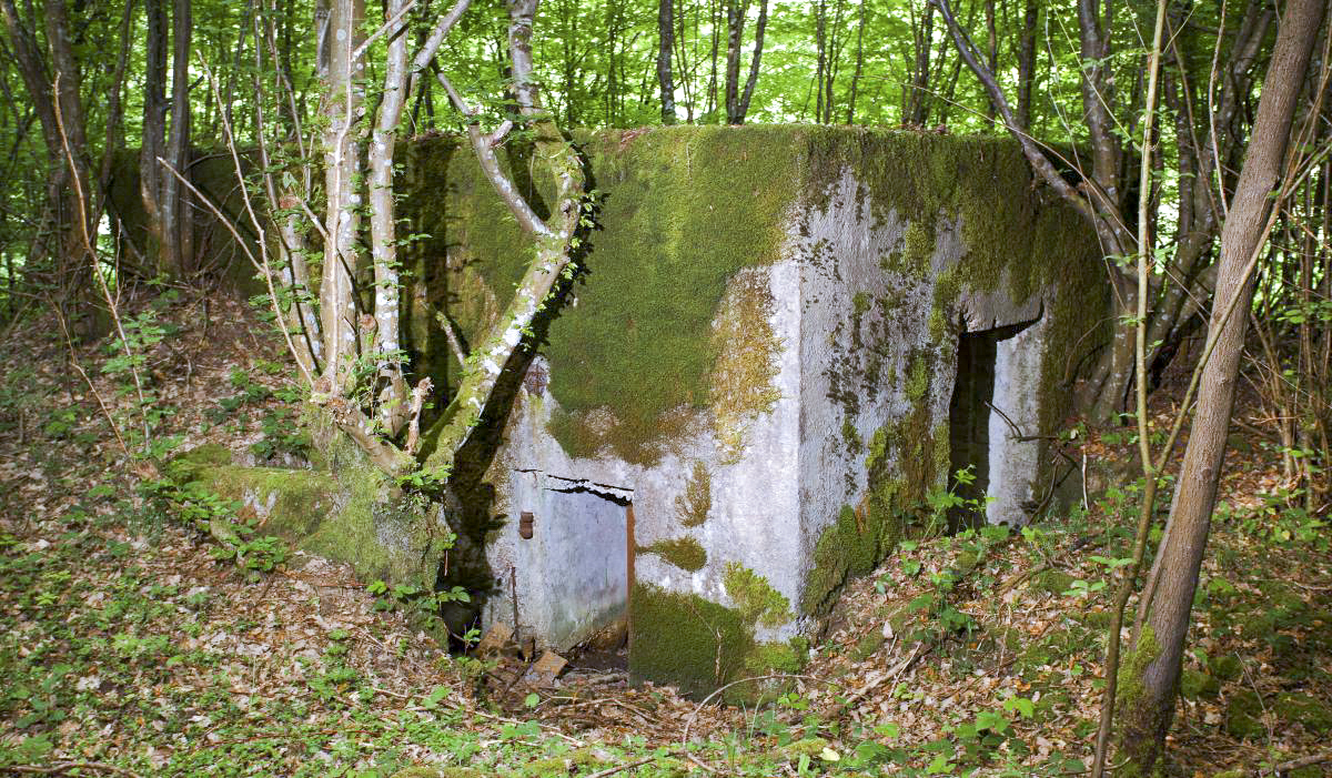 Ligne Maginot - CB306 - KANFENER BUSCH 8 - (Blockhaus pour canon) - Vue générale
