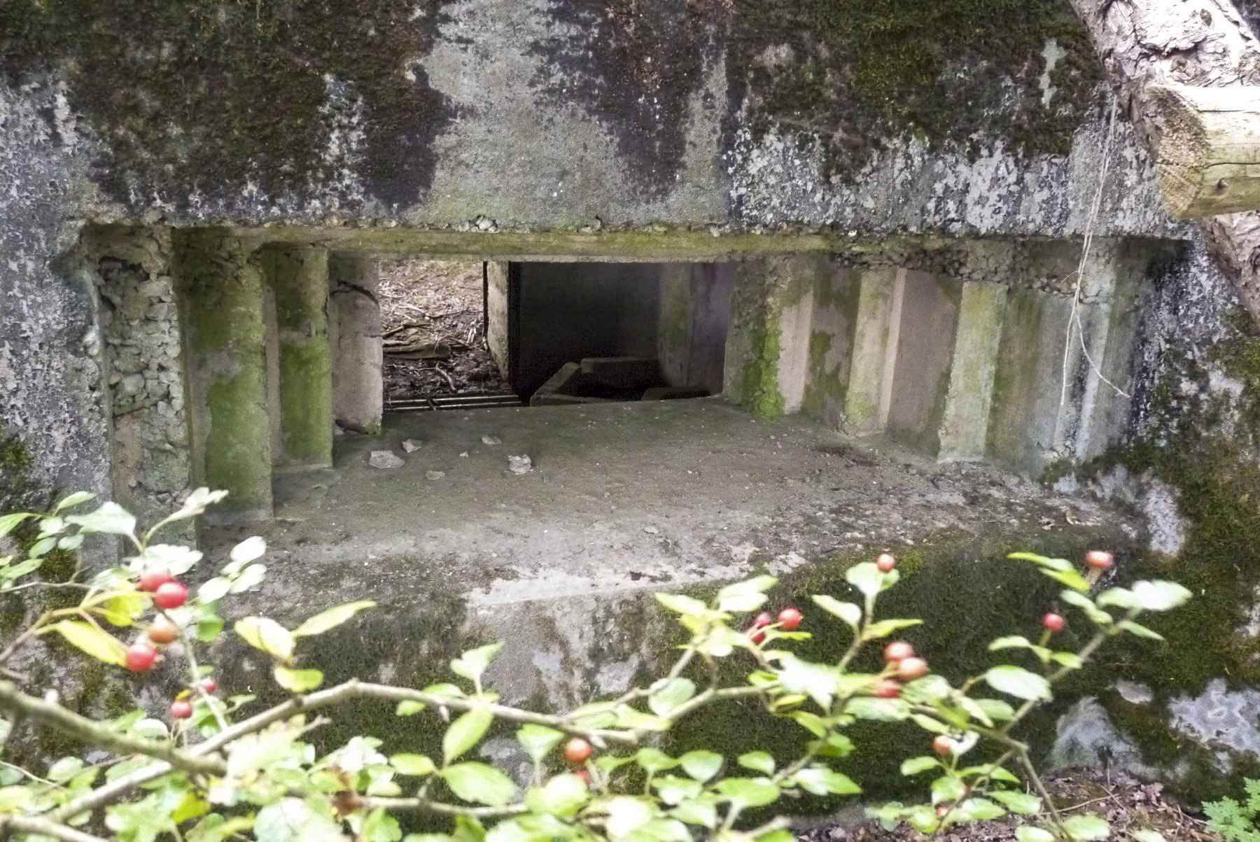 Ligne Maginot - CB309 - ZEITERHOLZ EST - (Blockhaus pour canon) - 