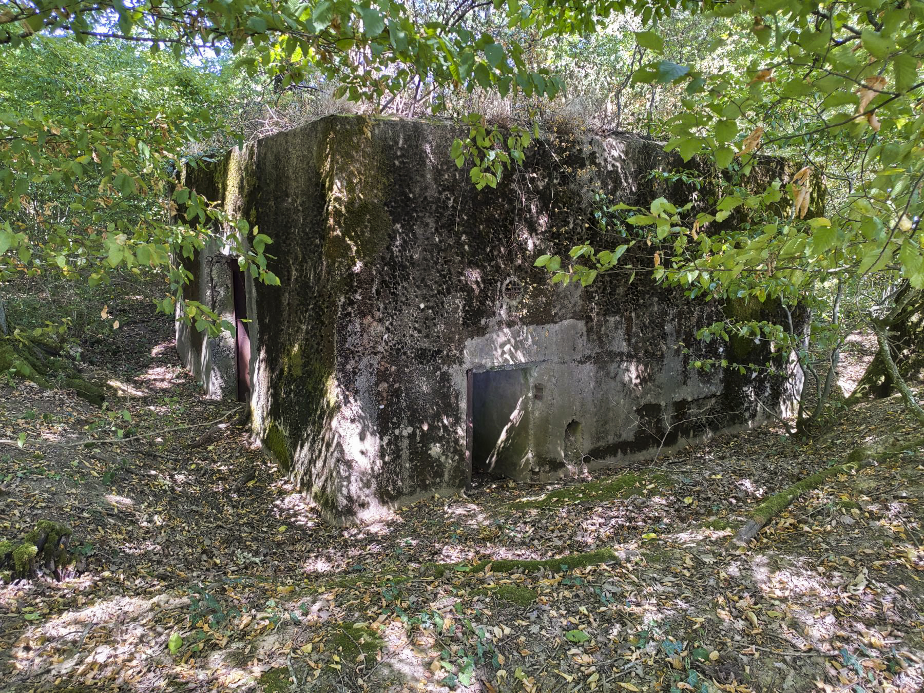 Ligne Maginot - CB309 - ZEITERHOLZ EST - (Blockhaus pour canon) - Entrée latérale