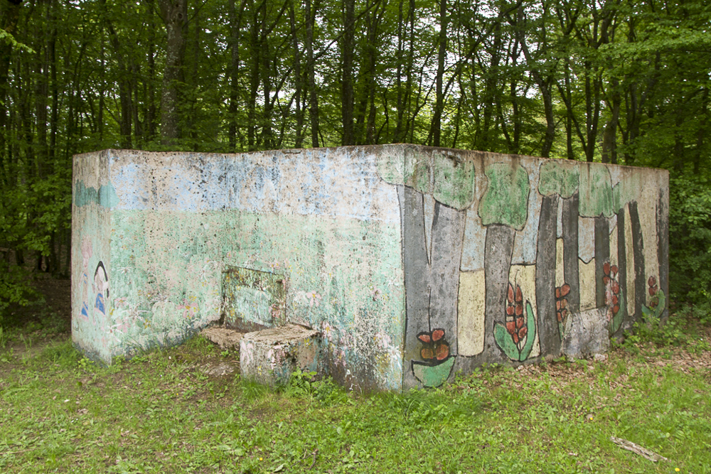 Ligne Maginot - CB311 - ZEITERHOLZ 1 - (Blockhaus pour arme infanterie) - Vue en 2012