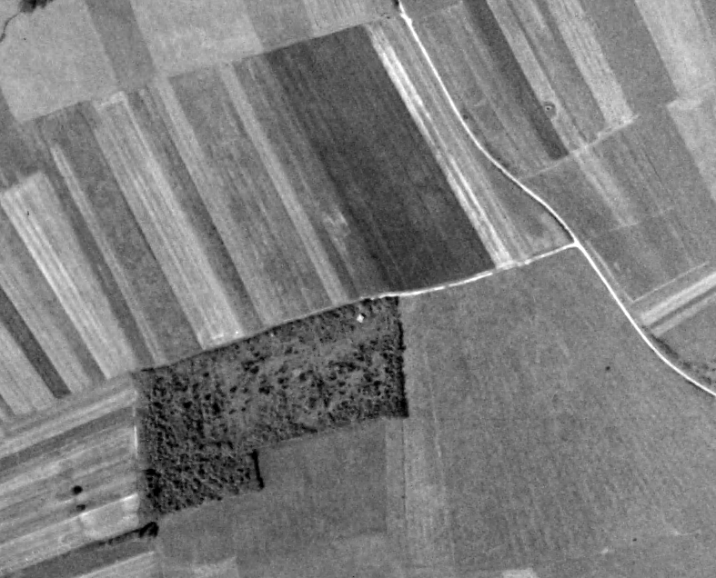 Ligne Maginot - CB313 - RASPICH - (Blockhaus pour canon) -  - IGN - Géoportail 1960