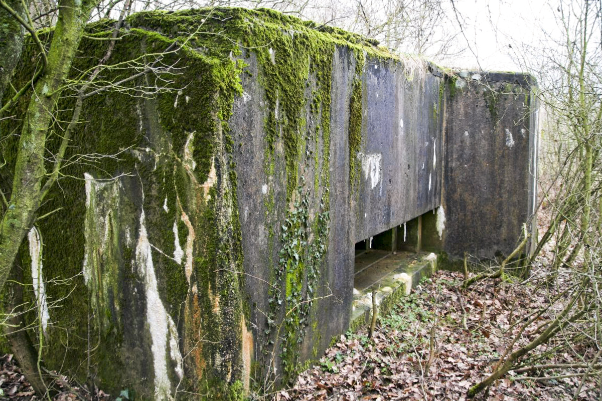 Ligne Maginot - CB315 - KOLF 1 - (Blockhaus pour canon) - Façade avant du blockhaus - Michel Teiten