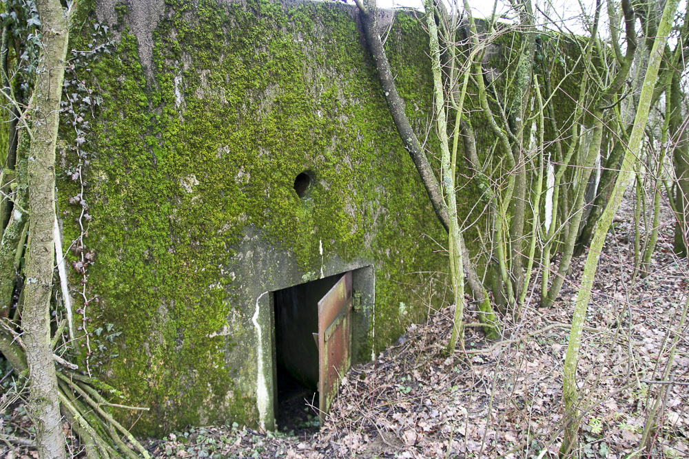 Ligne Maginot - CB315 - KOLF 1 - (Blockhaus pour canon) -  - Michel Teiten