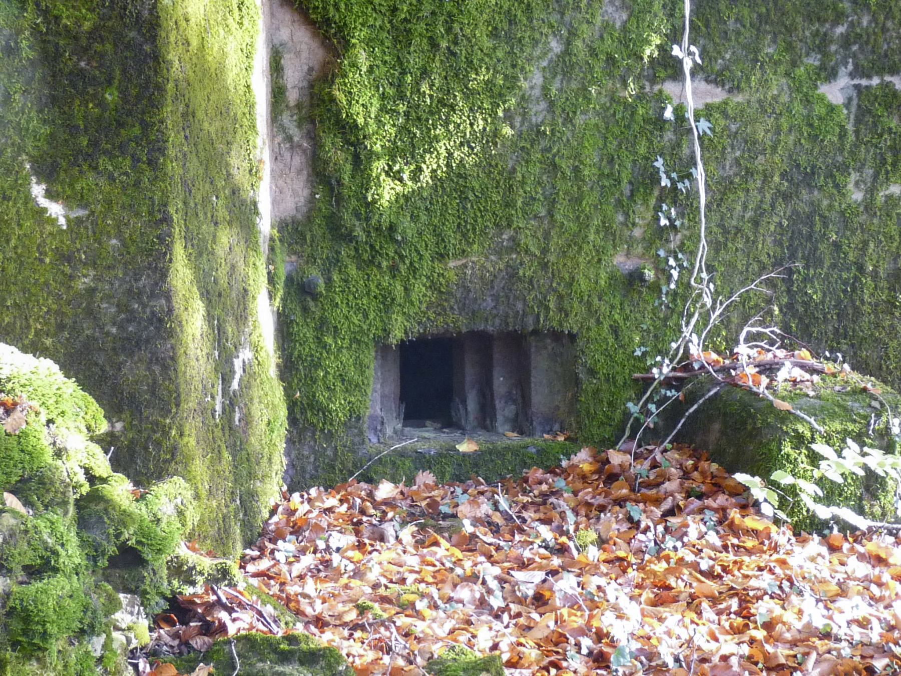 Ligne Maginot - CB331 - GINSKLOPP OUEST - (Blockhaus pour arme infanterie) -  - Sylvie Laure LAMBERT