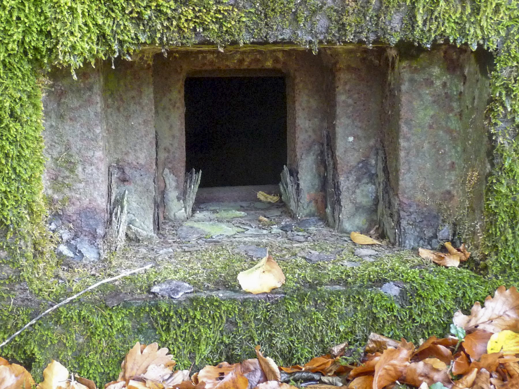 Ligne Maginot - CB331 - GINSKLOPP OUEST - (Blockhaus pour arme infanterie) -  - SYLVIE LAURE LAMBERT