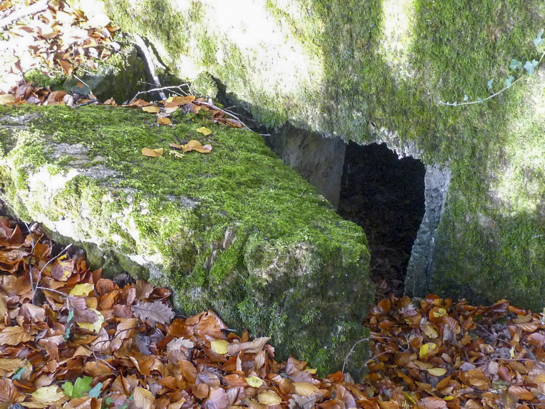 Ligne Maginot - CB331 - GINSKLOPP OUEST - (Blockhaus pour arme infanterie) -  - Sylvie Laure LAMBERT
