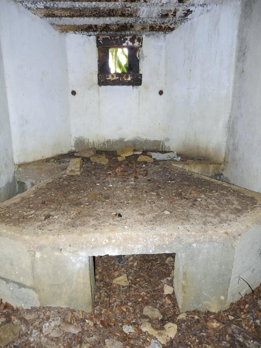 Ligne Maginot - CB331 - GINSKLOPP OUEST - (Blockhaus pour arme infanterie) -  - Sylvie Laure LAMBERT