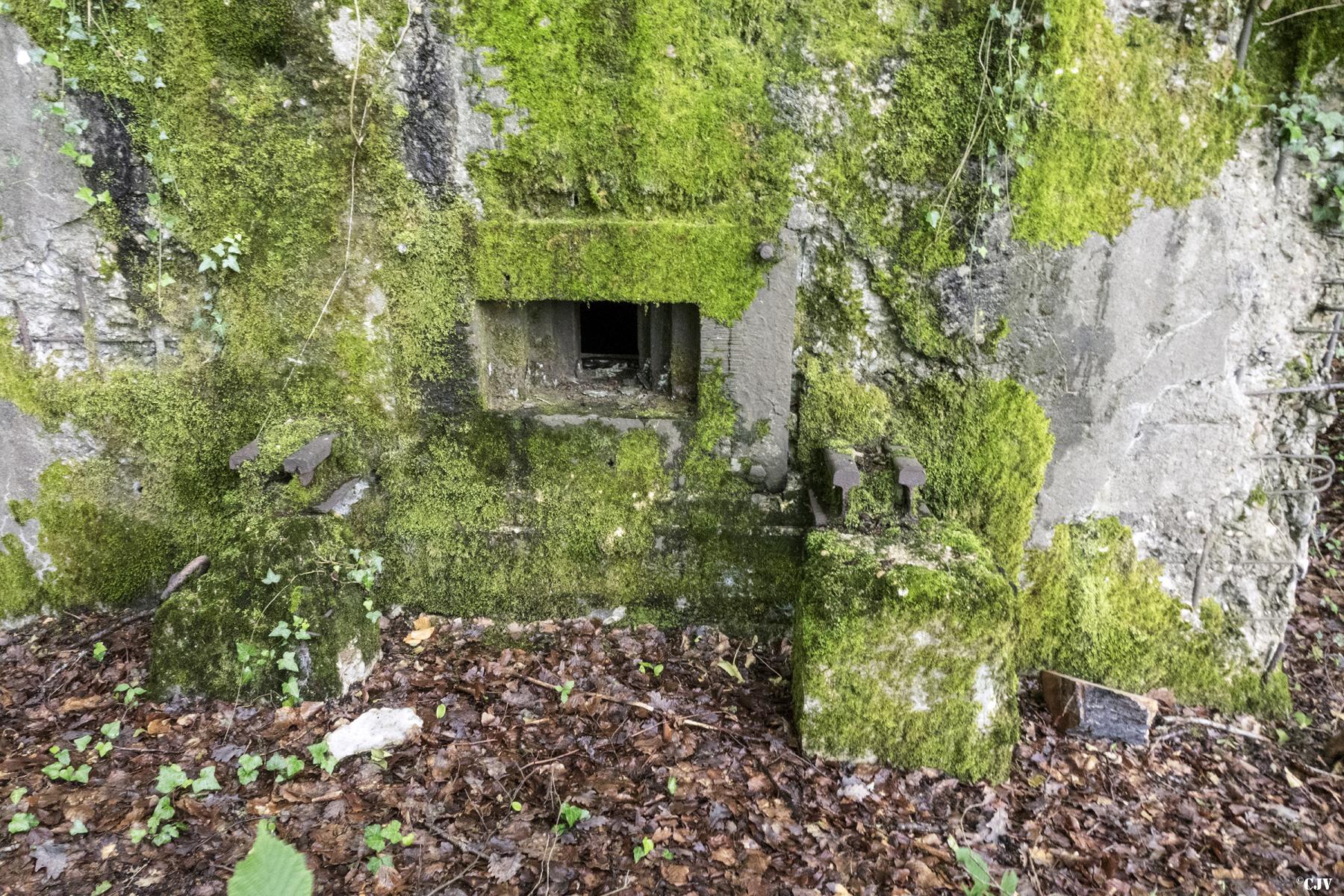 Ligne Maginot - CB421 - NEUWIESE 1 - (Blockhaus pour arme infanterie) - 