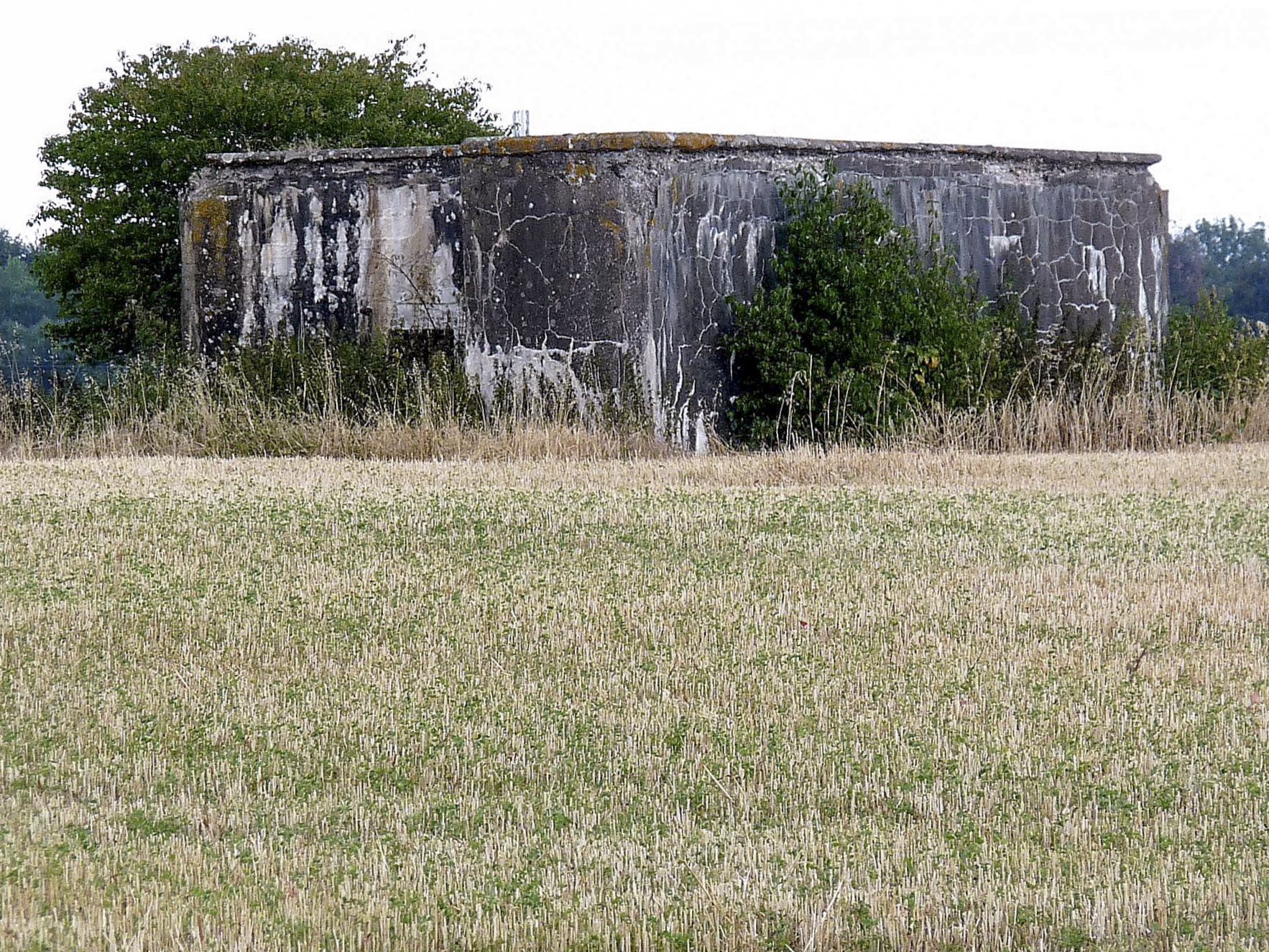 Ligne Maginot - CB344 - BREITENBAUM - (Blockhaus pour arme infanterie) - 
