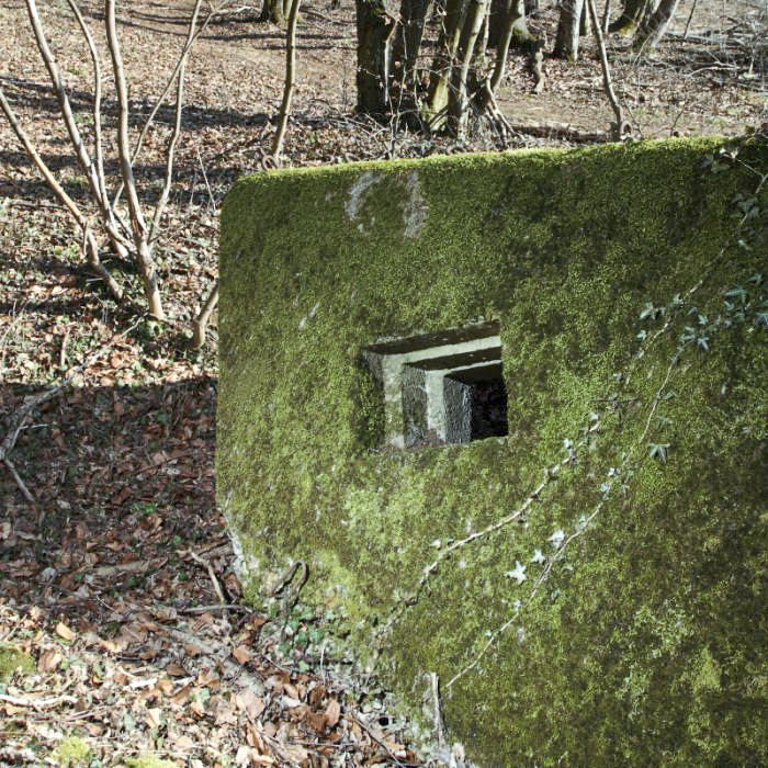 Ligne Maginot - CBO3 - (Blockhaus pour canon) - 