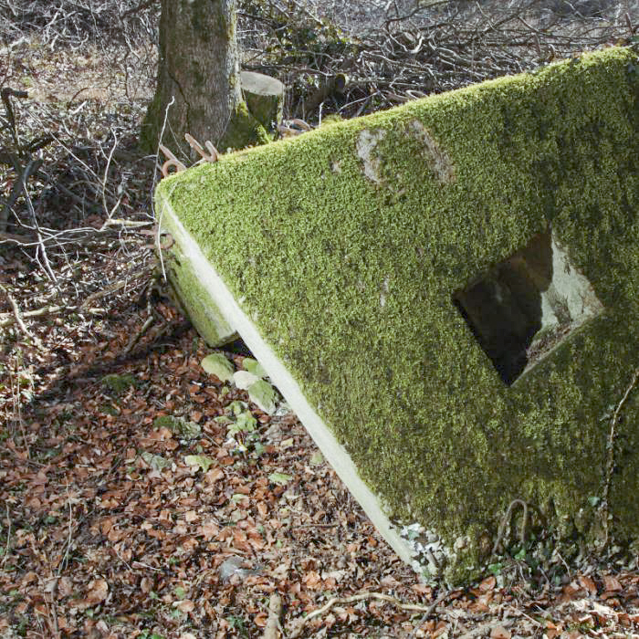 Ligne Maginot - CBO3 - (Blockhaus pour canon) - On notera le réemploi d''ardillons' sur la structure même du blockhaus. - www.arnaultjl-photo.com