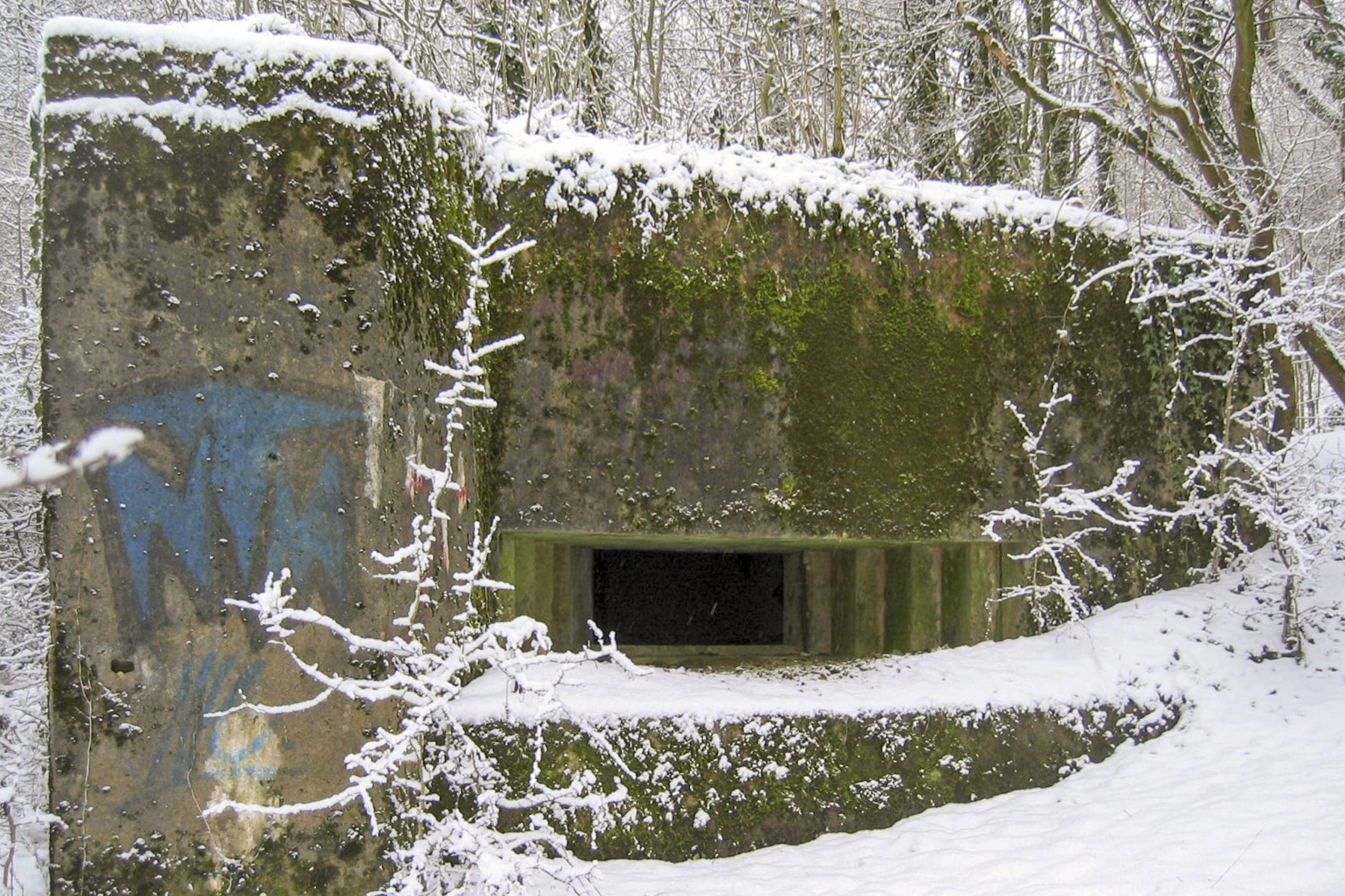 Ligne Maginot - CB317 - BROMMELSBERG NORD - (Blockhaus pour canon) -  - Michel Teiten
