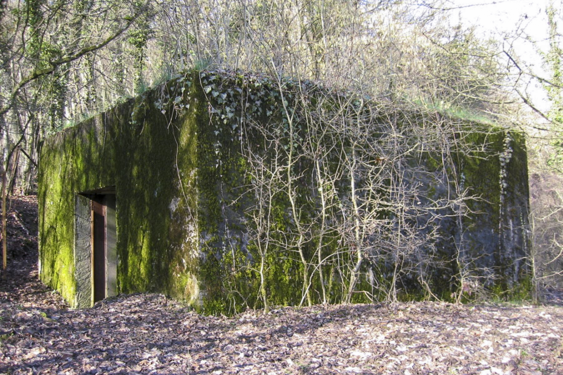 Ligne Maginot - CB317 - BROMMELSBERG NORD - (Blockhaus pour canon) -  - Michel Teiten