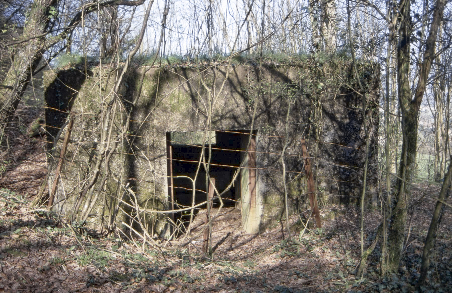Ligne Maginot - CB317 - BROMMELSBERG NORD - (Blockhaus pour canon) -  - Michel Teiten