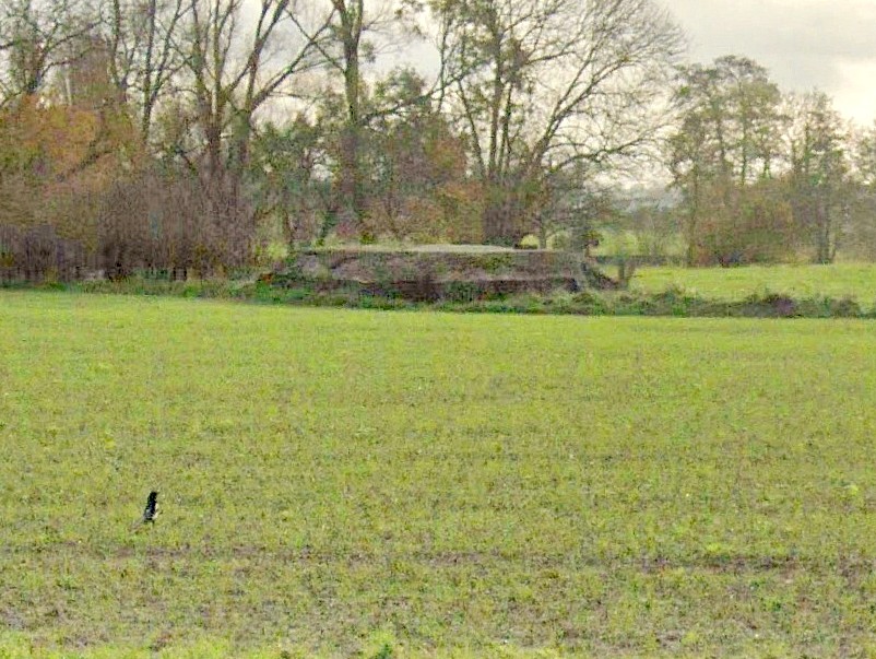 Ligne Maginot - BEF 759 - PONT DU FORET SUD OUEST - (Blockhaus pour arme infanterie) -  - GOOGLE Streetview 2022