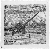 Ligne Maginot - Canon antichar de 65 mm modèle 1902 - Canon dans sa cuve, noter le camouflage
