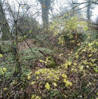 Ligne Maginot - LA CHAVEE 2 - (Observatoire indéterminé) - L'observatoire