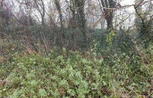 Ligne Maginot - LA CHAVEE 2 - (Observatoire indéterminé) - La tranchée