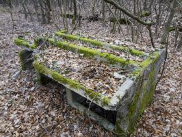 Ligne Maginot - MOLVANGE - (Casernement) - Ruines du casernement léger